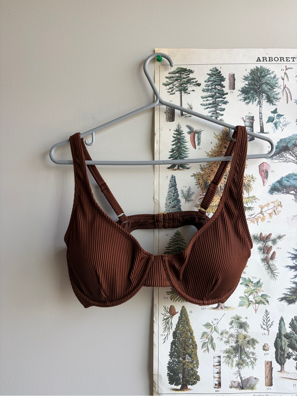 Cabana de sol bathing suit top medium brown